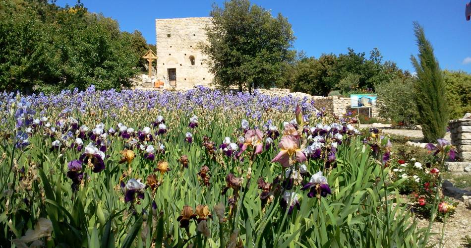 Hiking Trail: The Courens Plateau@Ventoux Provence