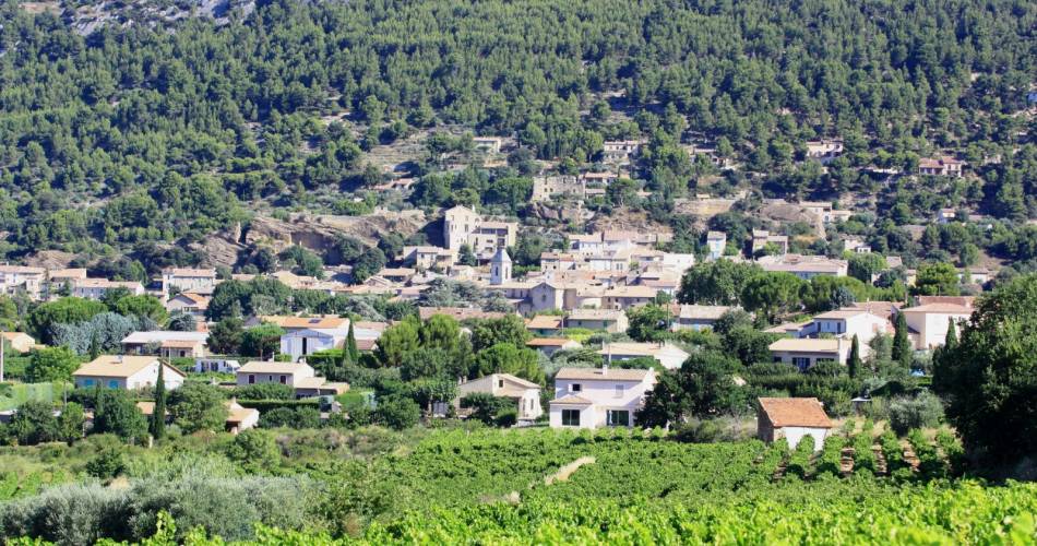 Bureau d'information touristique de Beaumes-de-Venise@Droits gérés A. Hocquel / Collect. ADT