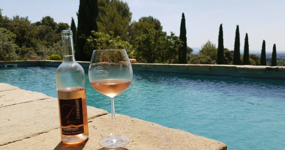 Domaine de Fenouillet@Domaine de Fenouillet