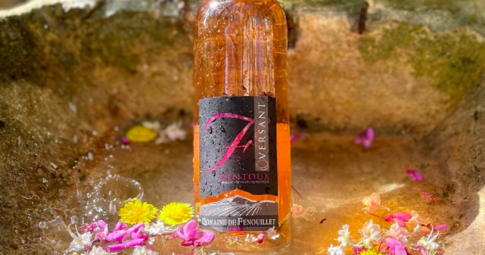 Domaine de Fenouillet@Domaine de Fenouillet