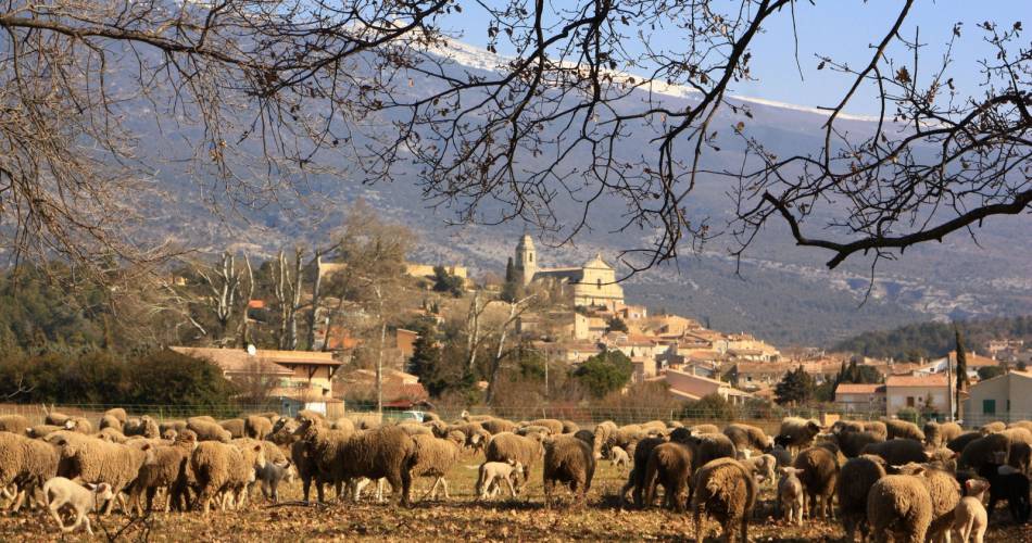 Le village de Bédoin@Droits gérés A. Hocquel / Collect ADT