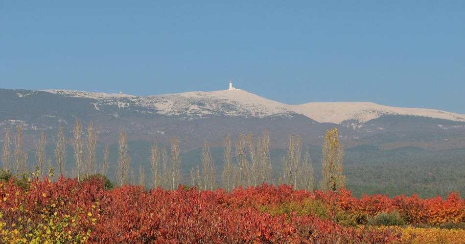 Mont Ventoux@Jeanne Clavière