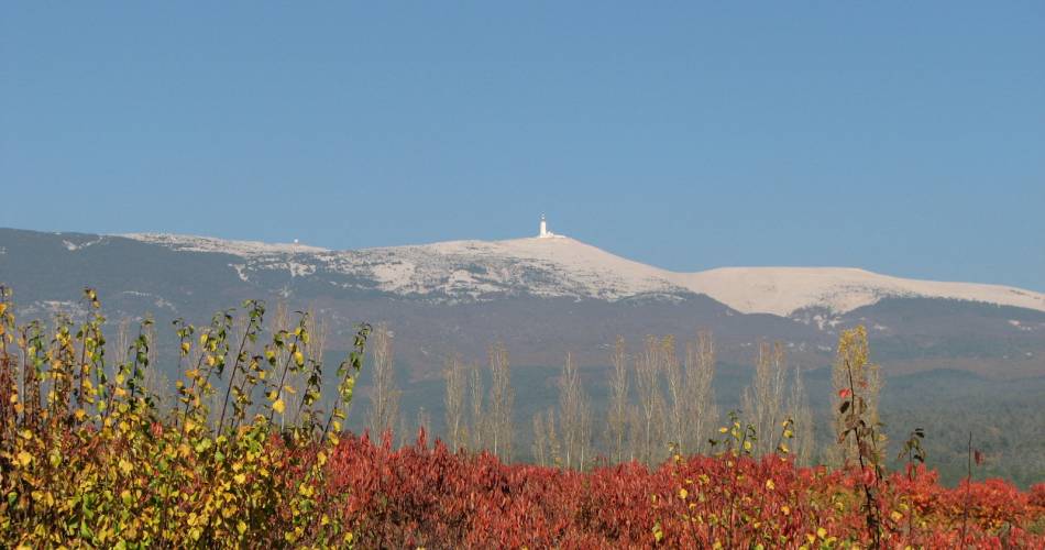 Biosphären-Reservat „Mont Ventoux“@Droits gérés jc