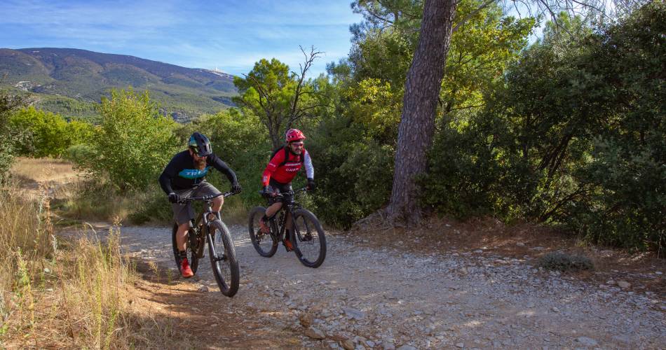 Mountainbikeroute Bedoin - Les Baux - n°1@A. Hocquel - VPA