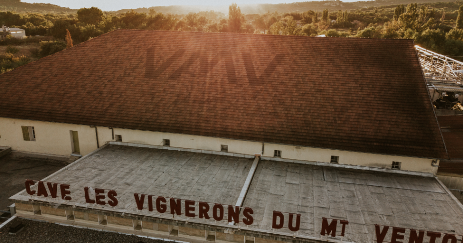 VMV - Les Vignerons du Mont Ventoux@DAMIAN
