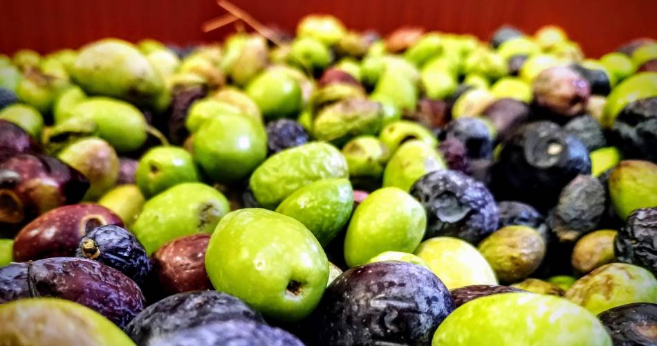 Comtat Oil Mill@Moulin du Comtat