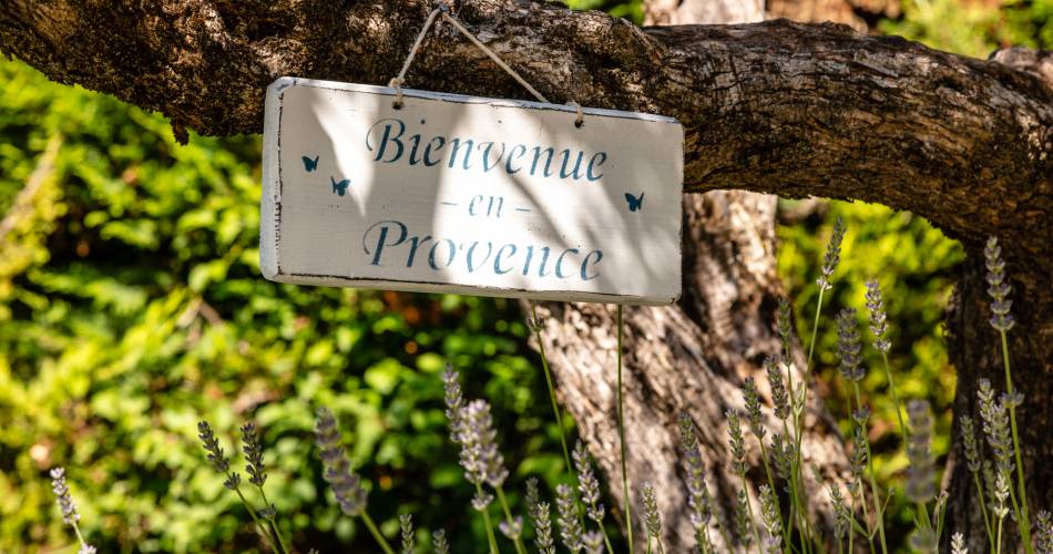 Gautier Joël@©Bruno Preschesmisky