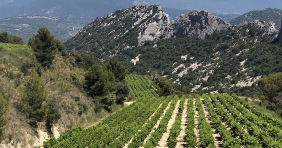 Domaine des Bosquets@© Domaine des Bosquets