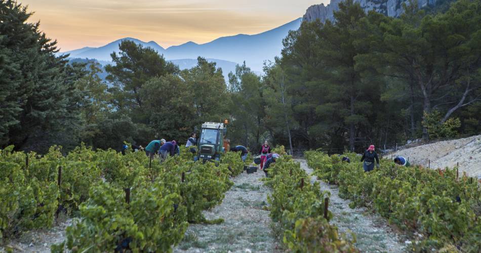 Domaine du Cayron@FARAUD