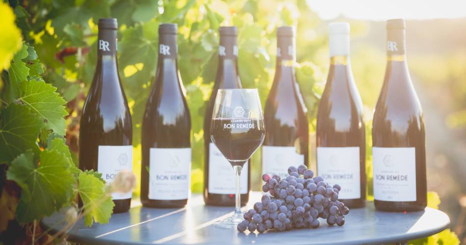 Domaine du Bon Remède@Domiane du Bon Remède