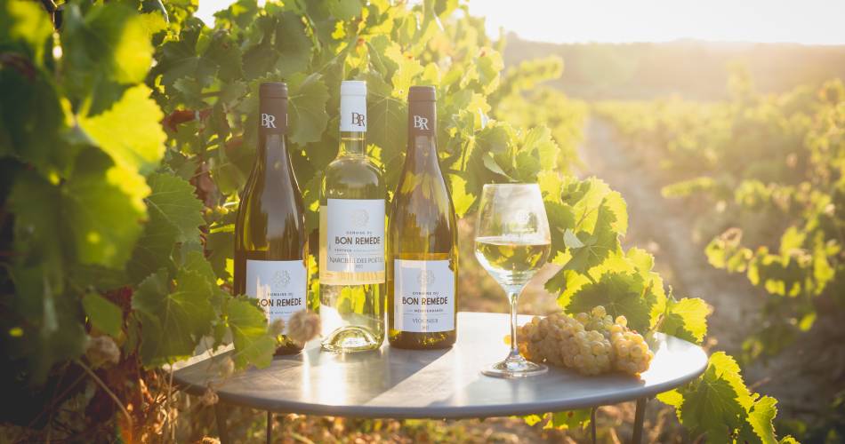 Domaine du Bon Remède@Domaine du Bon Remède