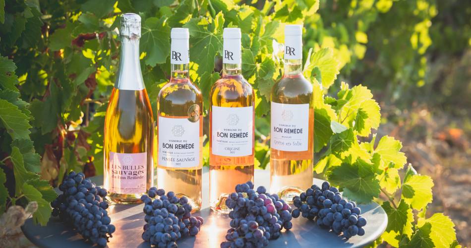 Domaine du Bon Remède@Domaine du Bon remède