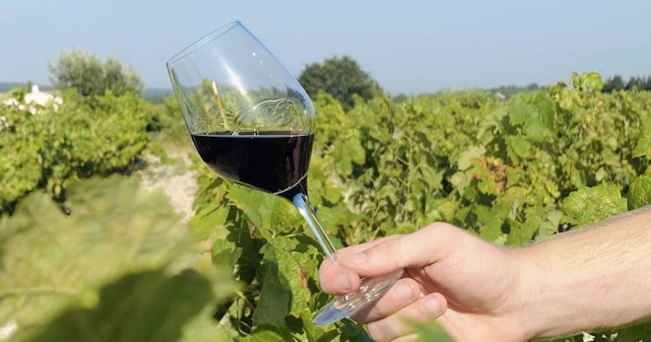 Domaine Plein Pagnier@Domaine Plein Pagnier