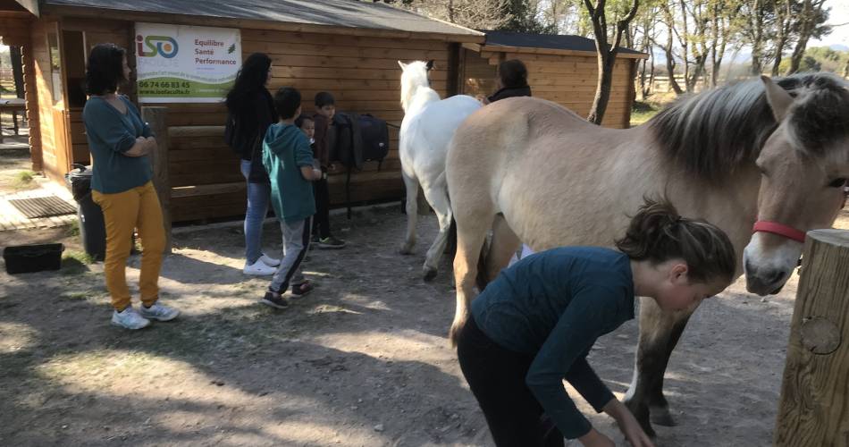 Portes ouvertes au Lucky Horse@Isofaculté