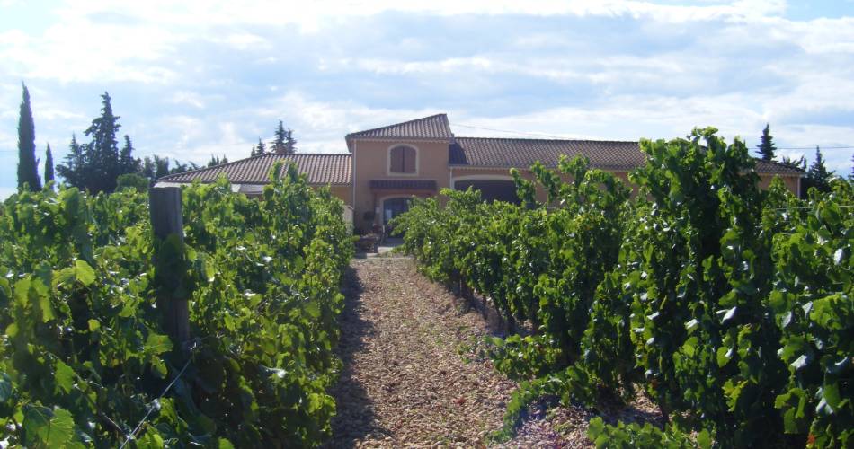 Domaine Les Ondines Wine Estate@Coll. Domaine les Ondines
