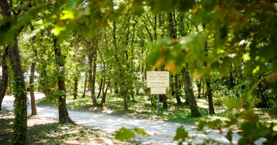 Montirius Le Domaine@montirius