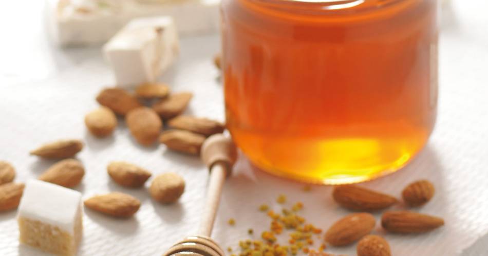 Silvain - Nougatbauern@Silvain