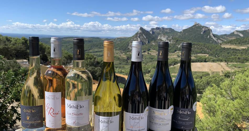 Domaine Mathiflo@Domaine Mathiflo