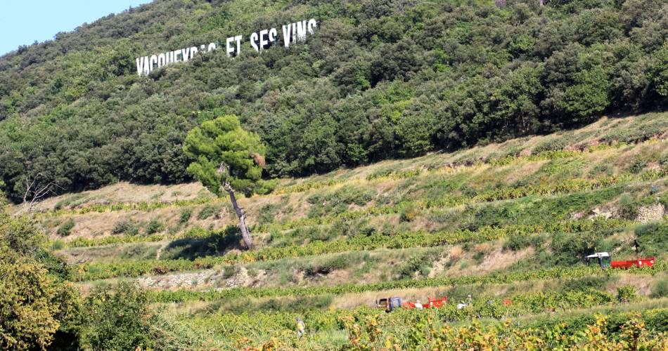 Wandelcircuit - Route door de wijngaarden van Vacueyras@HOCQUEL Alain - Vaucluse Provence