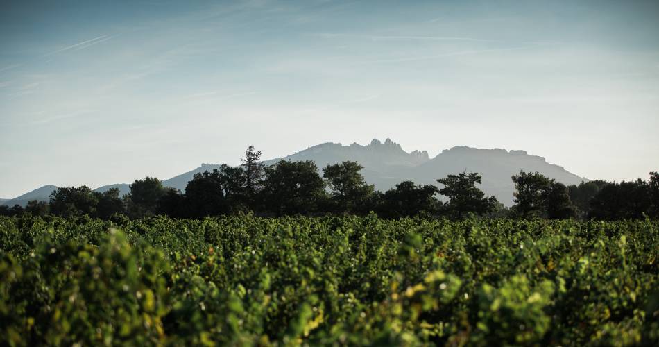Domaine la Monardière@Domaine de la Monardière