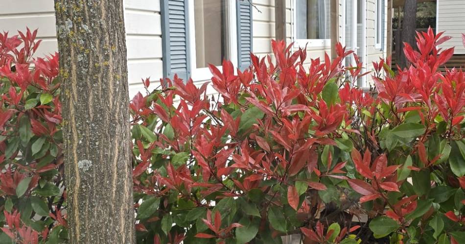 Camping Fontisson@Camping Fontisson