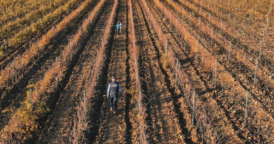 Le Clos des Saumanes@Guillaume Belguedj 2023