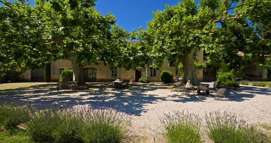 La Garance in Provence@®regissanglier