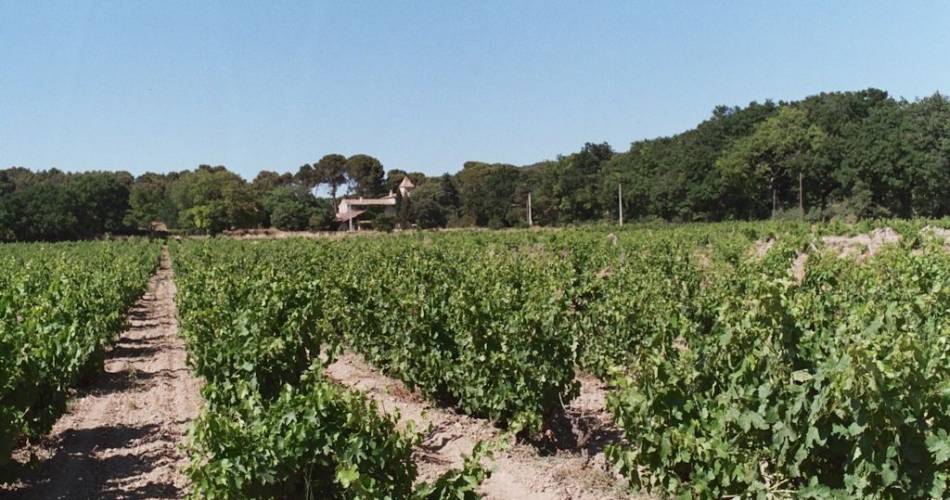 Domaine de la Gasqui - Vins Bio@Droits gérés Domaine de la Gasqui