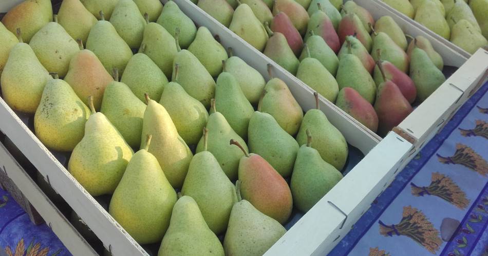 Les Fruits du Campredon@Les Fruits du Campredon