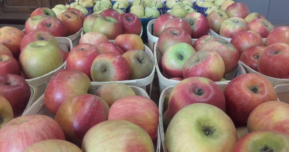 Les Fruits du Campredon@Les Fruits du Campredon