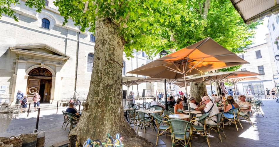 Café de France@Café de France_L'Isle-sur-la-Sorgue