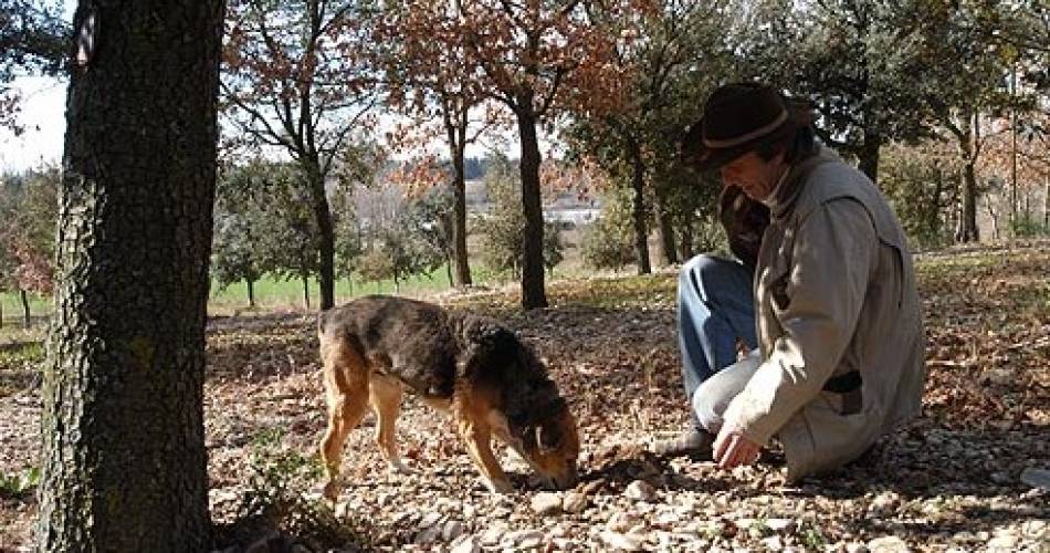 Les Frères Jaumard - Producteurs et négociants en truffes@Droits gérés Mr Jaumard