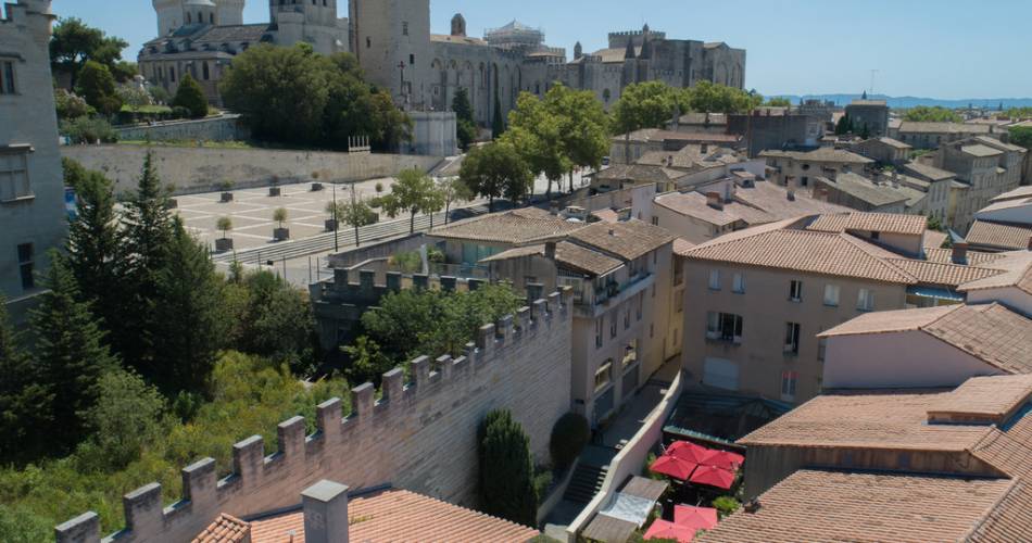 Hotel Portinari@@mercurepontdavignoncentre