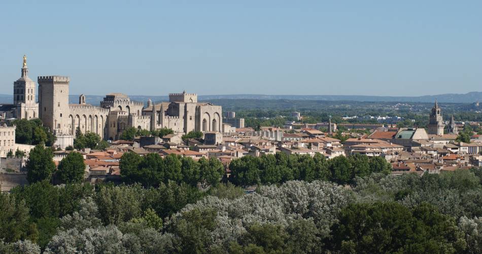 Palais des Papes@Droits gérés JP Campomar - Ville d'Avignon - Palais des Papes; Avignon