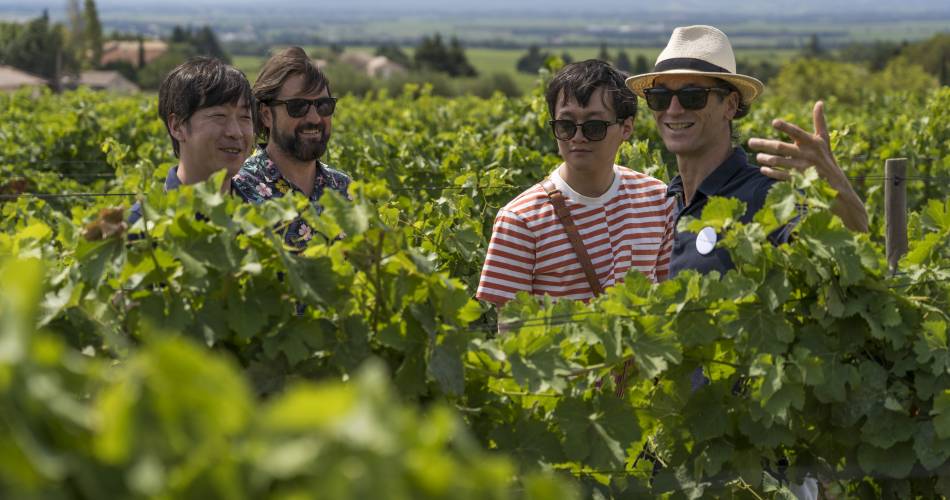 De Franse manier! Provence@A la Française