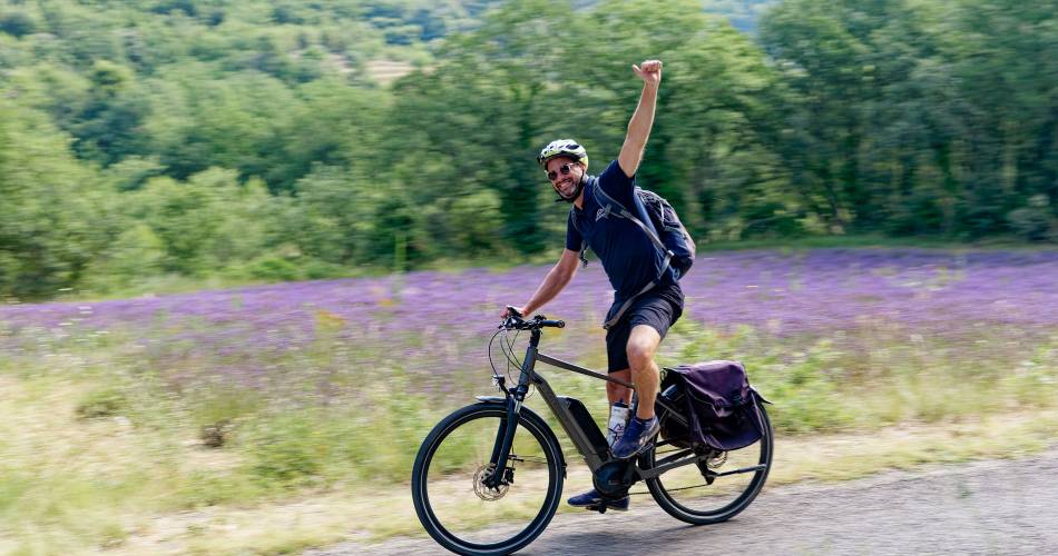 A la Française ! Provence@©nathaliesmith