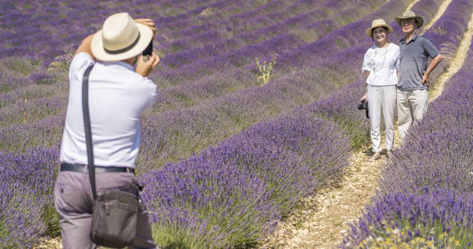 A la Française ! Provence@©nathaliesmith