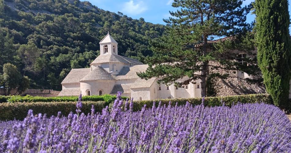 Auf die französische Art! Provence@©nathaliesmith