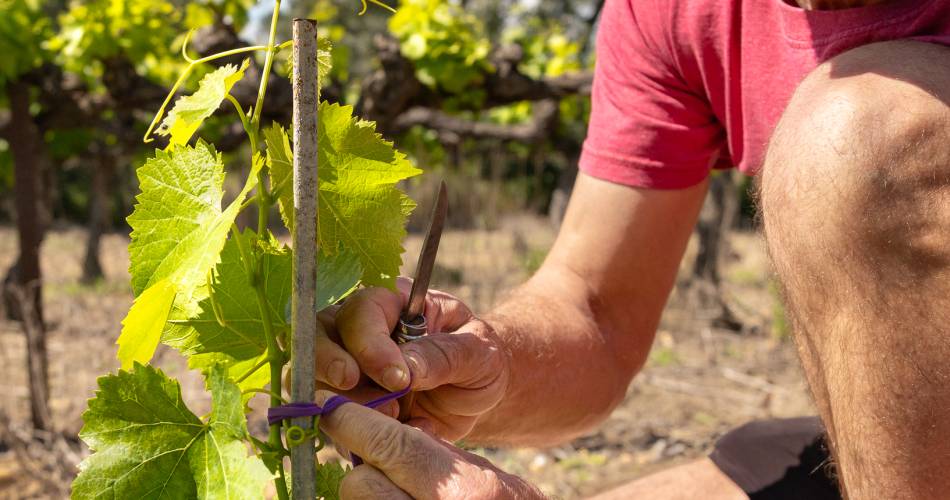 Domaine du Bois de Saint Jean@Clotilde Arnaud