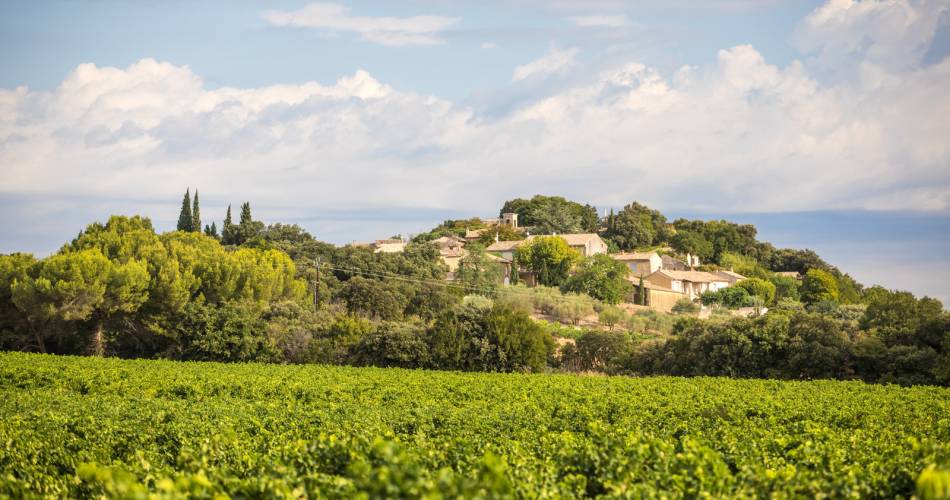 7 - The Plan de Dieu vineyards between Aygues and Ouvèze@G. Kessler