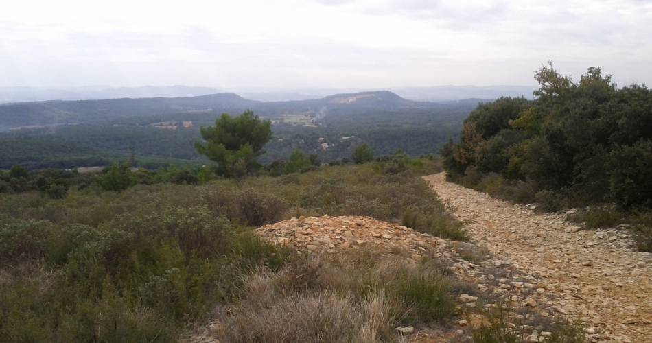 Cycle route - the Massif d'Uchaux by bike@Droits gérés AKERMANN Muriel - Coll. ADT Vaucluse