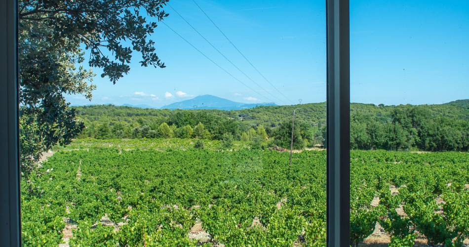 Domaine la Cabotte@La Cabotte