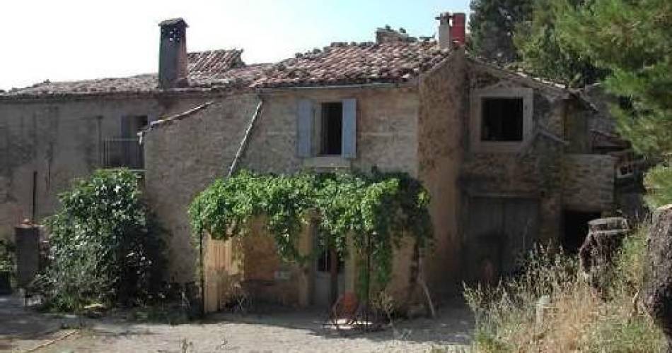 La Vigne - Gîte écologique de l'Aiolo@Gérald Hoolans