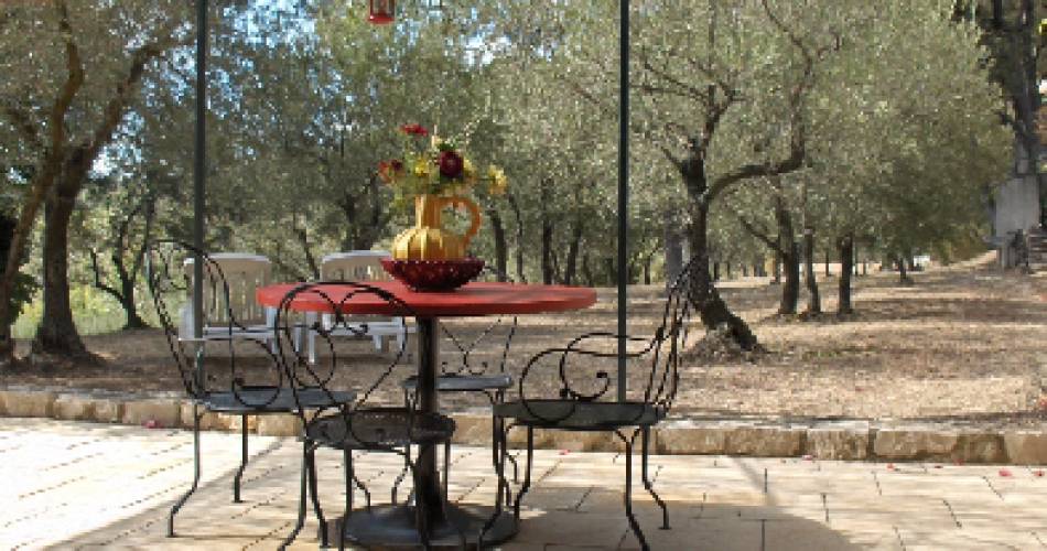 Les Oliviers@Jean-Michel Hermet-Challessin