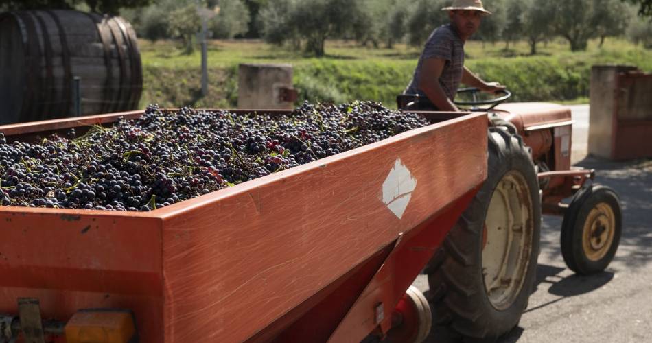 La Royère Huile & Vin – Musée de l’Huile d’Olive@©laroyere