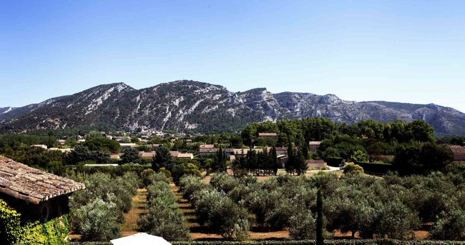 La Bastide - Domaine de Canfier@C. Charvet