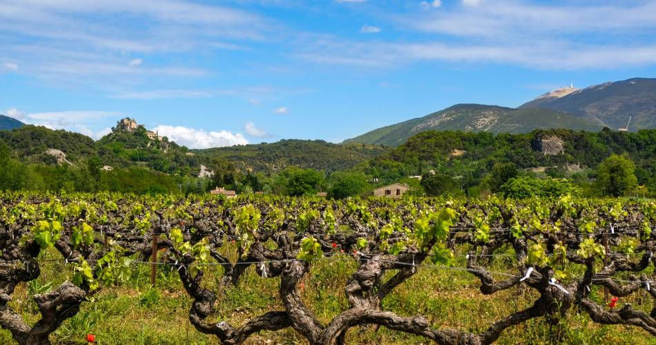 Village d'Entrechaux@Vaison Ventoux Provence