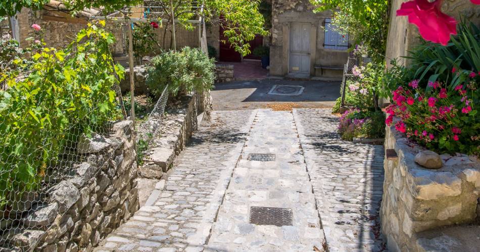 Village de Saint-Léger-du-Ventoux@Vaison Ventoux Provence