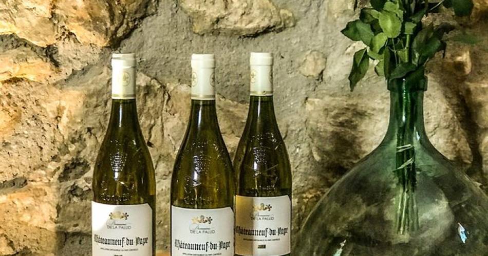 Domaine de la Palud@© Domaine de la Palud