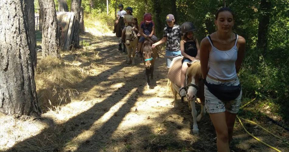 Les écuries de Bacchus, la mini ferme du Ventoux@La mini ferme du Ventoux